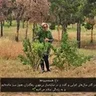 عکس نمایهٔ کاربر نشان